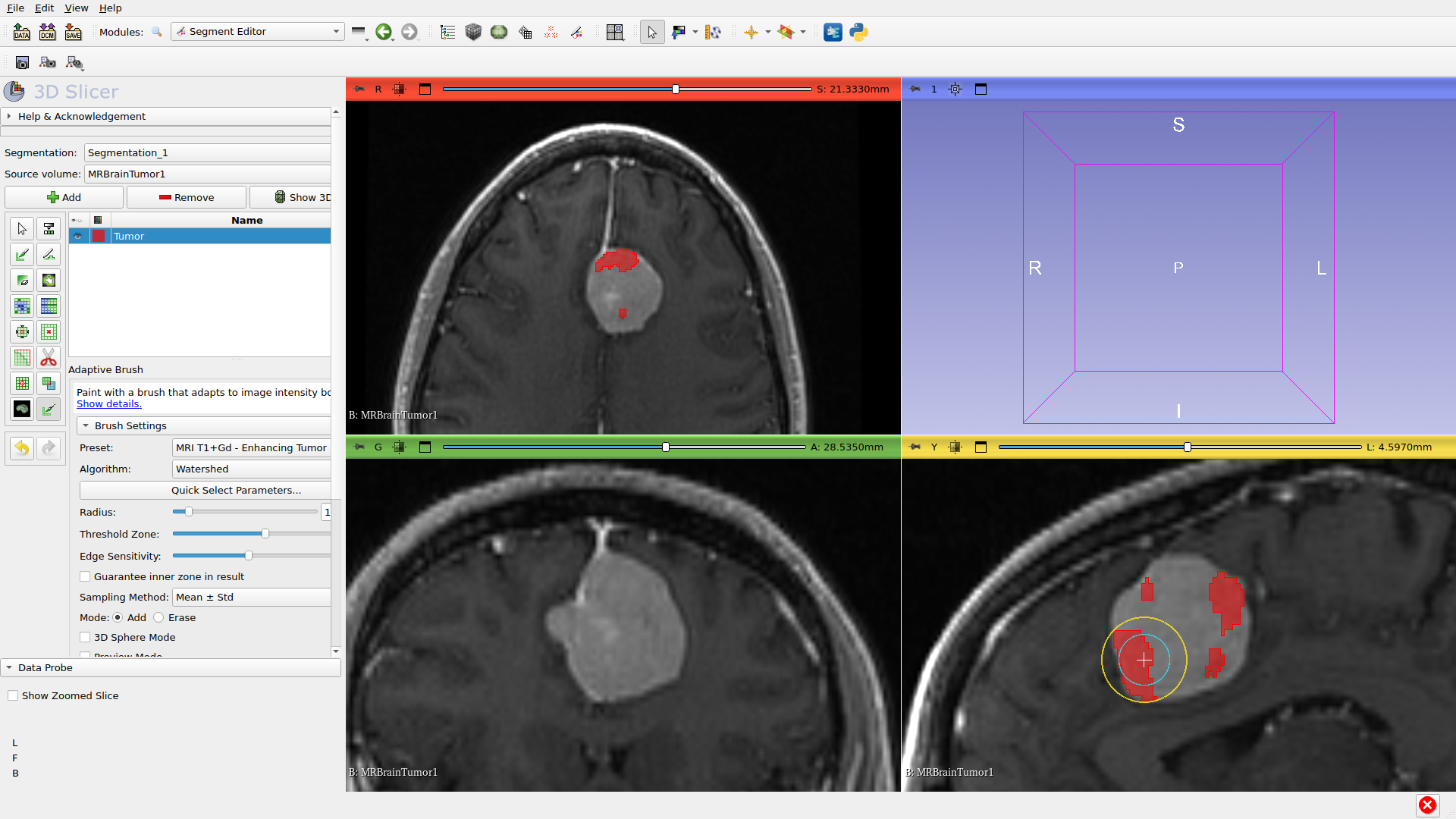 Painting with Adaptive Brush
